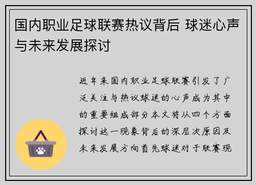 国内职业足球联赛热议背后 球迷心声与未来发展探讨