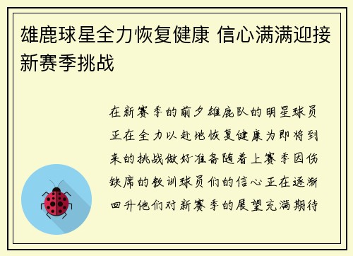 雄鹿球星全力恢复健康 信心满满迎接新赛季挑战