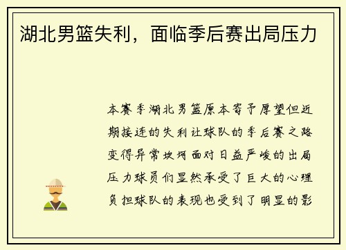 湖北男篮失利，面临季后赛出局压力